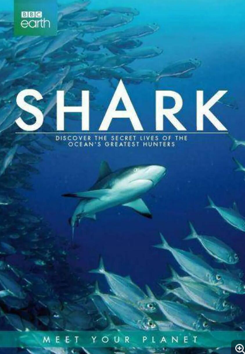 [BBC：Shark 鲨鱼 2015][全3集] [英国][2015年][英音轨/内置中英字幕][MP4/720P/2.34G]