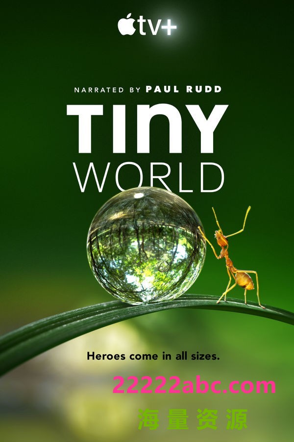 《小小世界(Tiny World)》 [2020][MKV/8.89G][英语中字/无字幕][720P]